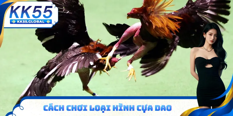 05 bước chỉ cần chơi cá cược đá gà