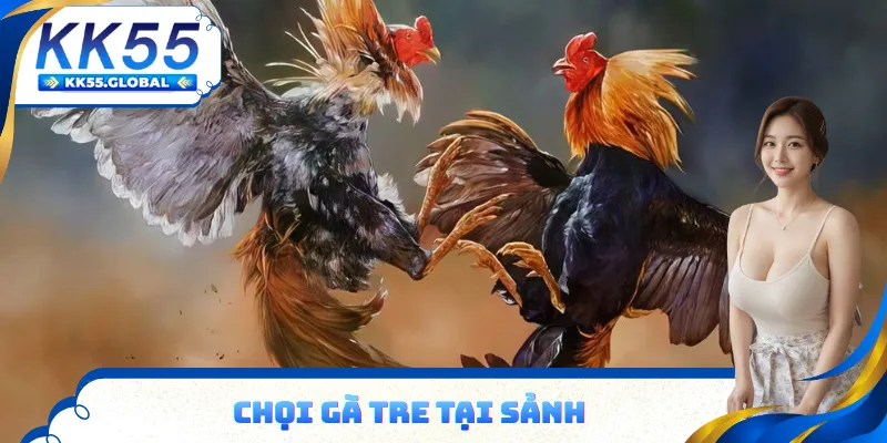 Sản phẩm đá gà đa dạng tại sảnh KK55