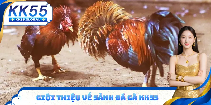 Sảnh đá gà KK55 hiện đại